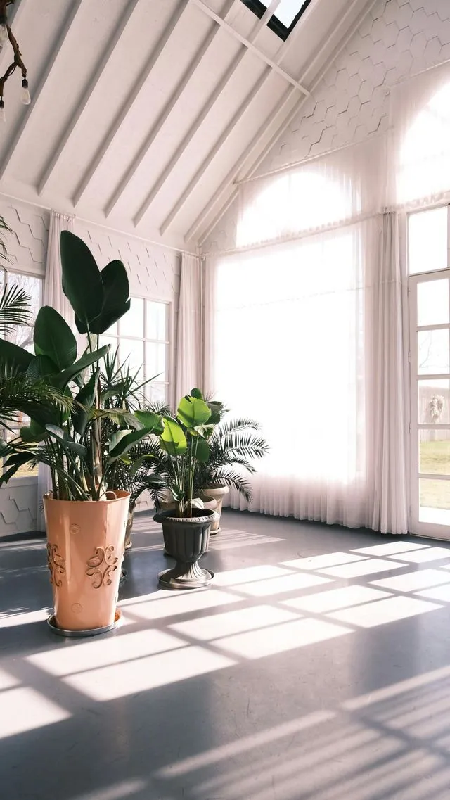 Sunlit sunroom with a vaulted ceiling, arched windows and potted plants