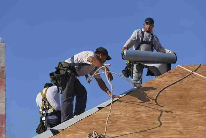 Roofing crew rolling underlayment across a new plywood roof deck